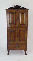 A 19th Century Mahogany Cupboard with a single drawer below, 49(w)x32(d)x100(h)cm