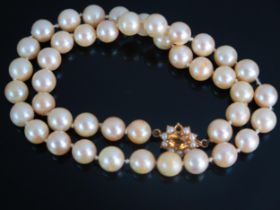 A Cultured Pearl Choker with a 9ct gold, citrine and pearl clasp, c. 8.5mm pearls, 16" (41cm), 36g