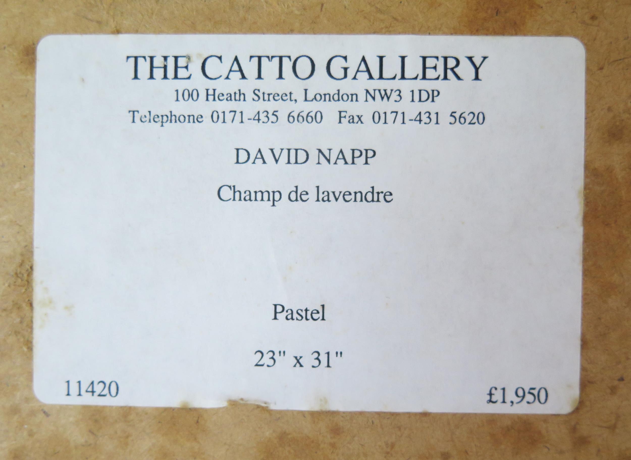 DAVID NAPP (British B.1964), 'Champ de lavendre' pastel, labelled verso for The Catto Gallery and - Image 9 of 9