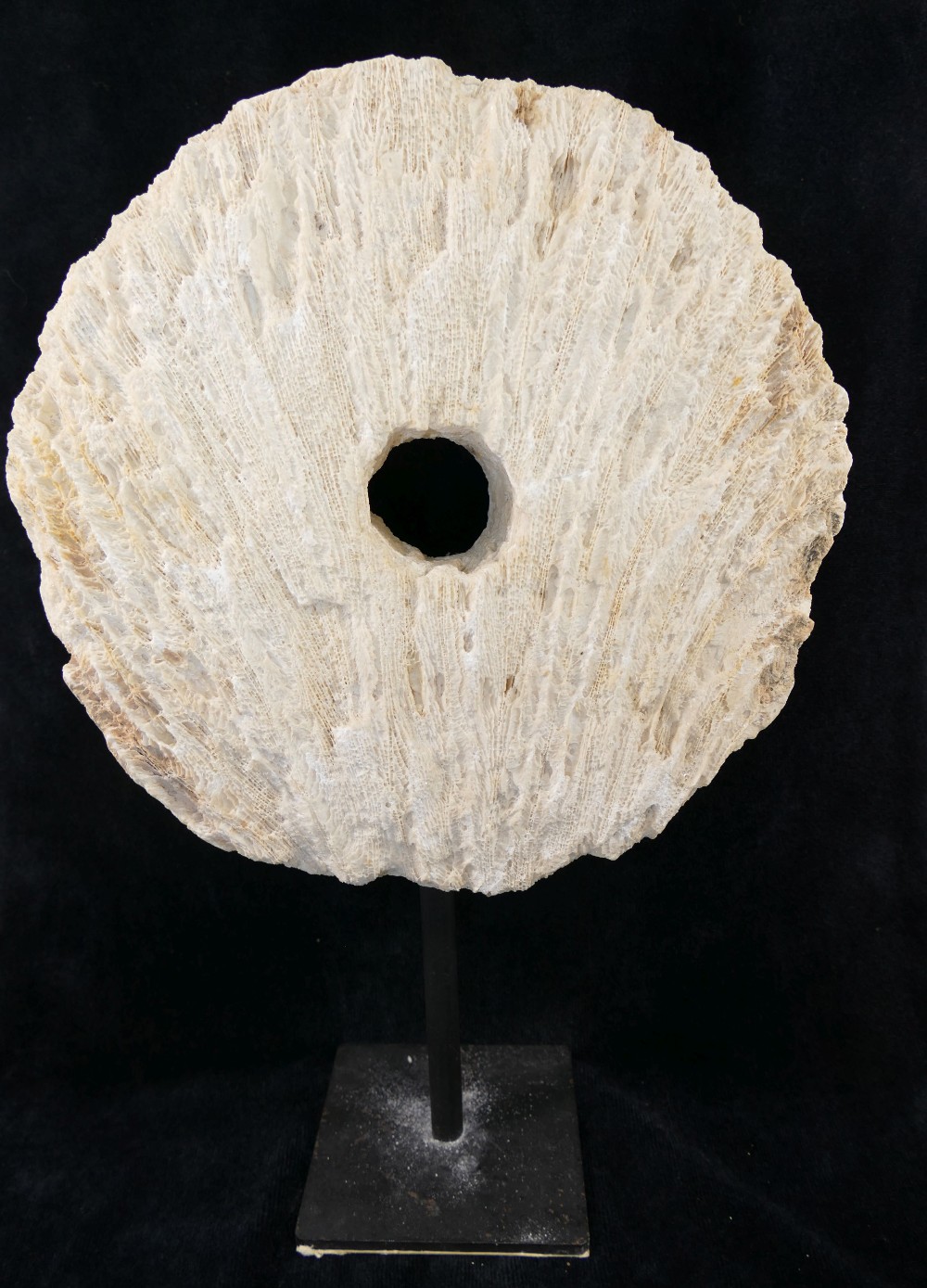 A large coral circular carved disc with central hole, (similar to that of a rai stone), raised on - Image 3 of 4