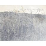 Lola Spafford (b.1930), 'Hogweed', limited edition print numbered 7/75, signed, titled and