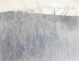 Lola Spafford (b.1930), 'Hogweed', limited edition print numbered 7/75, signed, titled and