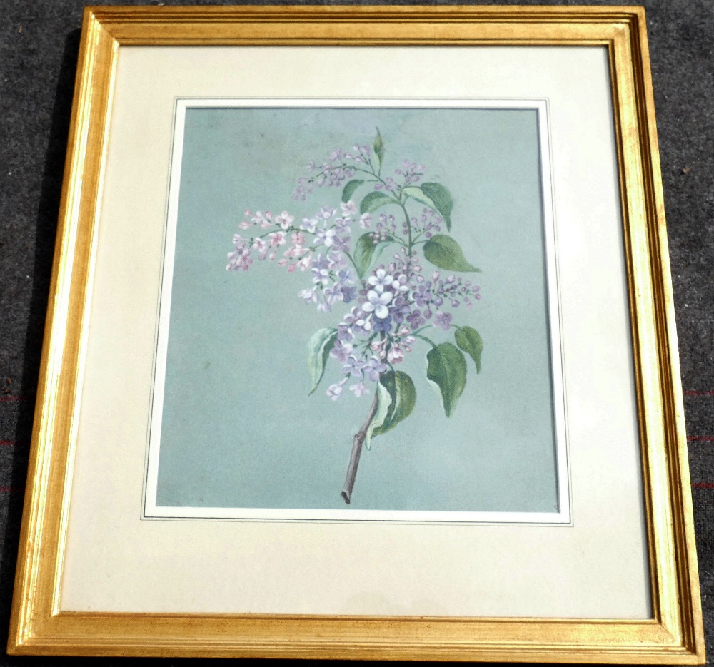 Early 20th century British, 'Almond Tree', watercolour, numbered 356, titled and dated 'April - Image 2 of 5