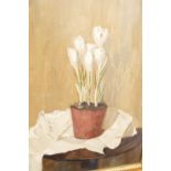 20th century British, Still life of potted white crocus, oil on board, unsigned, 49.5cm x 39cm,