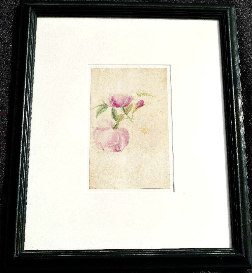 Early 20th century British, 'Almond Tree', watercolour, numbered 356, titled and dated 'April - Image 5 of 5