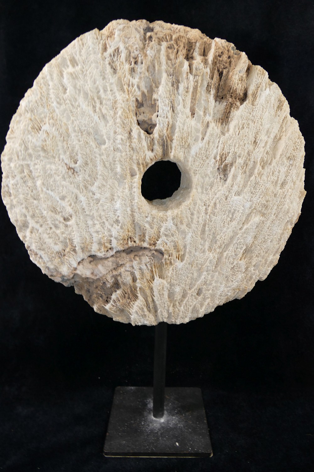 A large coral circular carved disc with central hole, (similar to that of a rai stone), raised on - Image 4 of 4