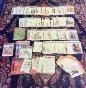 A collection of Del Prado leaflets and binders.