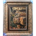 David A Scott, original oil 'Leopard on Rocks' glazed in a ornate heavy frame, overall size 120cm