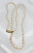 A string of pearls, length approx. 45cm with a gilt clasp.