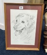 Robert Lenkiewicz (1941-2002) early pencil 'Kim, Golden Retriever' signed, 33cm x 23cm,