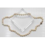 Single row uniform cultured pearl necklace, approx. length: 50cm, pearl size: 8.00mm, 9ct yellow