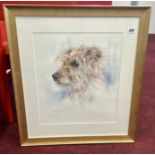 Jennifer Johnson (Modbury current artist) watercolour portrait of a terrier dog, signed and dated