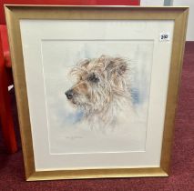 Jennifer Johnson (Modbury current artist) watercolour portrait of a terrier dog, signed and dated