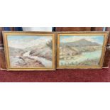 A pair of Chinese? Oils, unsigned, with paper label to reverse 'A Yeung', framed and glazed.