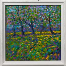 Paul Stephens, oil on panel 'Cider Apple Blossom Orchard' framed, size 44cm x 44cm. Pauls