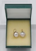 A pair of Edwardian Akoya cultured pearl earrings set on 9ct gold, length 13.50 mm, width 13.50mm,