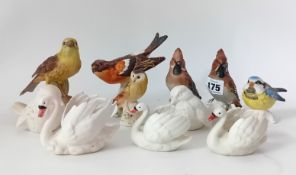 A collection of eight Goebel model birds, including a Bramling, Yellow Hammer, Blue Tit, together