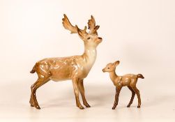 Beswick Deer figures to include 981 Stag (19cm high), and 1000 Fawn (2)