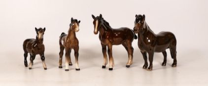 Four Beswick Foals to include Brown Shire 1053, Foal 1084, Shetland Pony 1648, Shetland foal