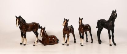 Five Beswick Foals to include Black Beauty Foal together with Brown Shire 1053, Foal 915, Foal