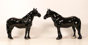 Beswick Fell pony in black gloss 1647 & Dale pony 'Maisie' 1671(2)