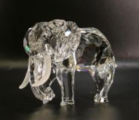 Swarovski boxed Elephant from the Inspiration Africa Series