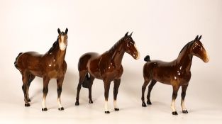 Beswick brown Hackney horse 1361 (chip to ear), Swish Tail 1182 & Imperial 1557(3)