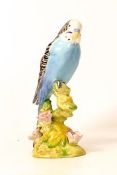 Beswick blue budgie on floral base 1217. (restored)