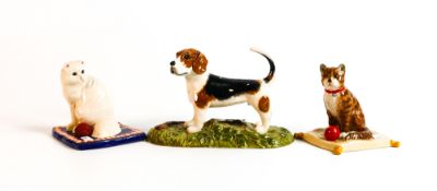 Royal Doulton Animal Figures Beagle RDA11(a/f) , Persian Cat RDA19 & Maine Coon RDA18(3)
