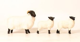 Beswick Black Face Sheep & lambs(3)