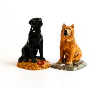 Royal Doulton Animal Figures Black Labrador RDA13 & Chow Chow RDA6(2)
