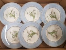 Set of 6 Wedgwood Sarahs garden snowdrop salad plates