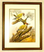 John B Duggan Painting Green Woodpeckers 49cm tall