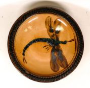 Studio pottery bowl decorated with dragonfly to the inside and a bumble bee to the base. Diameter