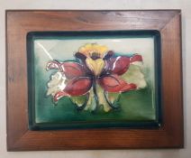 Moorcroft Ruffled Iris on graduated green ground rectangular box lid mounted into wooden frame,