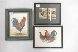 Three Artworks depicting Game and Farm Birds to include two Poultry World Prints by Wippell, The
