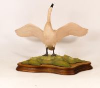 Border Fine Arts Figure Whooper Swan PS07, height on base 25cm