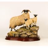 Border Fine Arts Figure A Ewe & A Pair Bo238, length of base 27cm