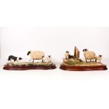Boxed Border Fine Arts Figure Black Faced Ewe 104 & Wrong Side of the fence, length of base 32cm (2)