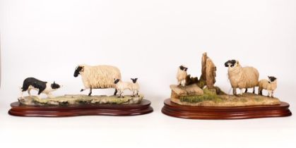 Boxed Border Fine Arts Figure Black Faced Ewe 104 & Wrong Side of the fence, length of base 32cm (2)
