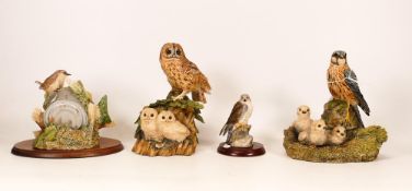 Boxed Border Fine Arts figures to include Wren in Nest with Binweed, Merlin, Merlin Falcon &