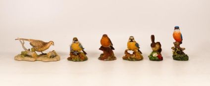 Boxed Border Fine Arts figures to include 2 x Autumn Blues, Robin, Kingfisher, Rb22 Hen Pheasant &