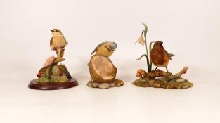 Boxed Border Fine Arts figures to include Wren & Wild Rose, Blue Tit on Coconut & Robin with