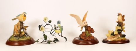 Boxed Border Fine Arts figures to include Bluetit with coins, Wren & Bramble, Blue Tit on Wire &
