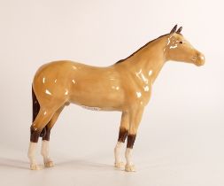 Beswick stallion Dunn gloss. BCC 2007