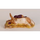 Beswick prototype Beatrix Potter figure of Peter Rabbit Sleeping decorated in a different colourway,