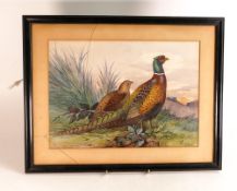 James Edwin Dean (1863-1935), Pheasants and Partridge in Natural Setting. Watercolour on paper.