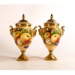 Pair of Coalport prestige hand painted lidded twin handle vases. Still life fruits, signed A.