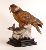 Capodimonte very large limited edition (672/1000) hand painted figure of a Fish hawk. Height 33cm