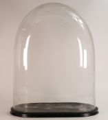 Large 19th century glass dome suitable for taxidermy of ceramic figure groups, height 52cm, length